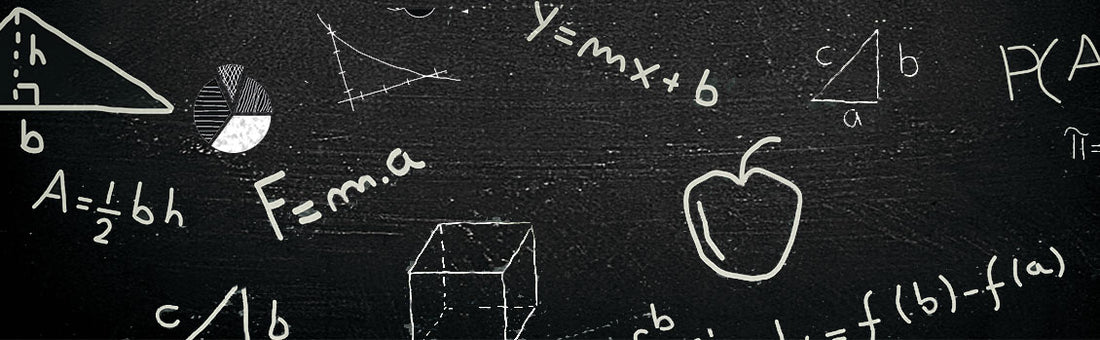 Primary School Maths Results Infograph