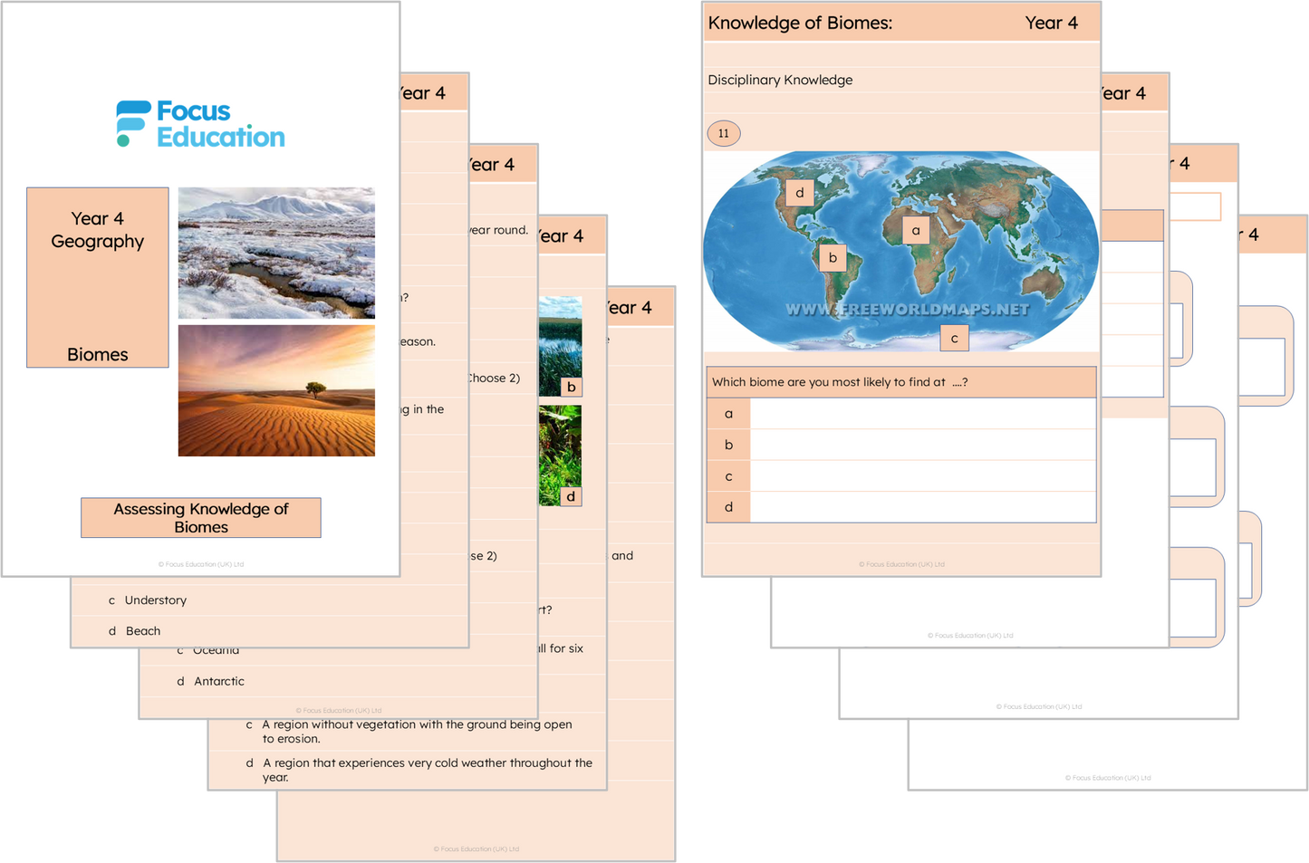 Geography Y4: What are biomes and how are they created?