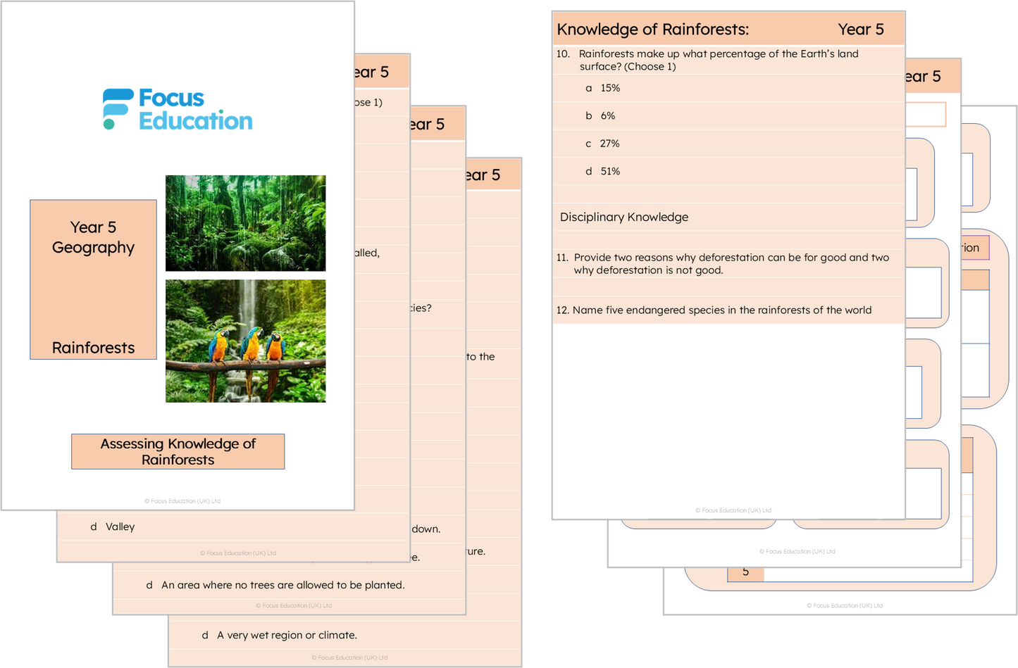 Geography Y5: What creates a rainforest and why are they located where they are?