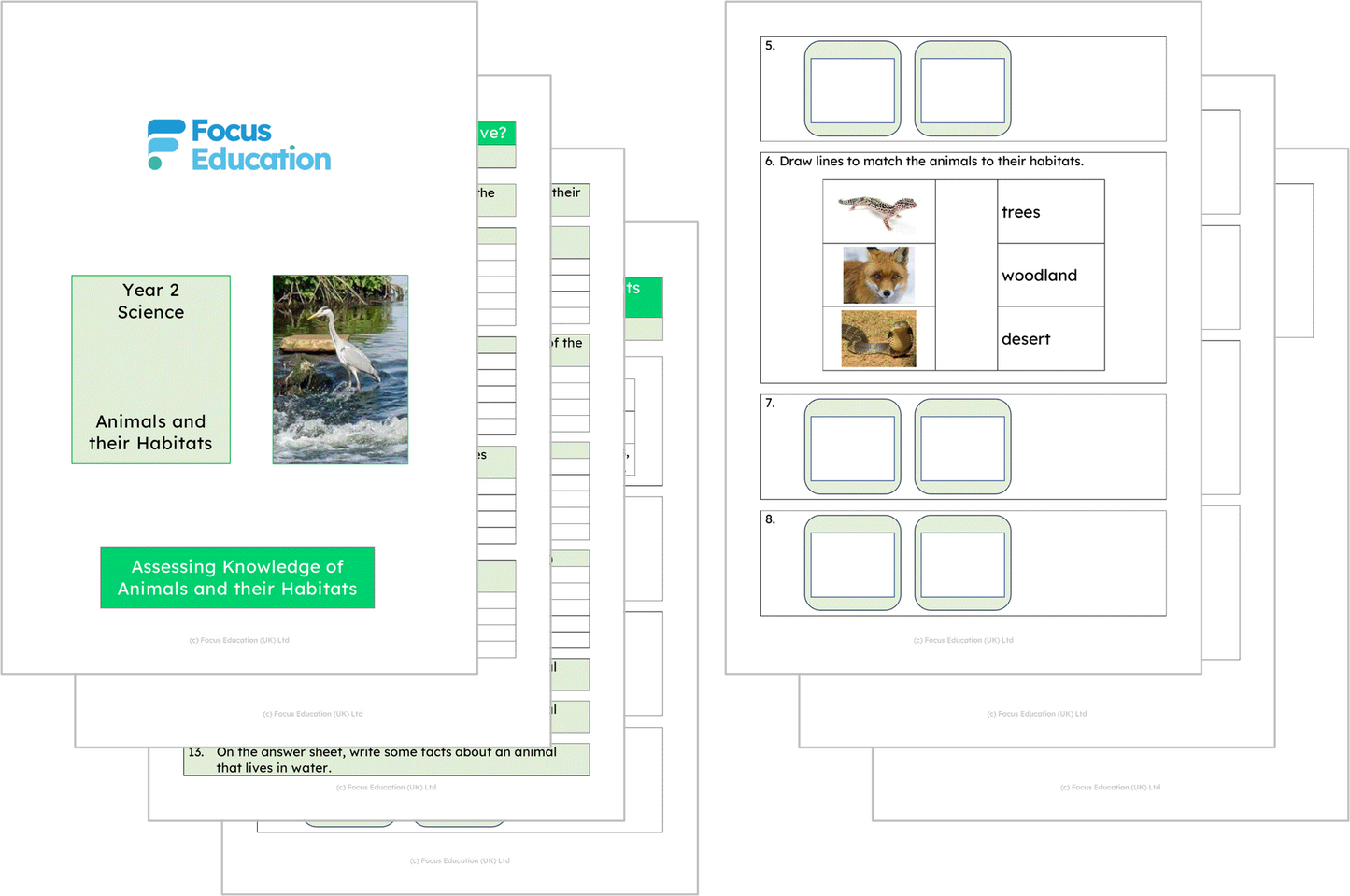 Science Y2: Why do animals choose the habitat they have?