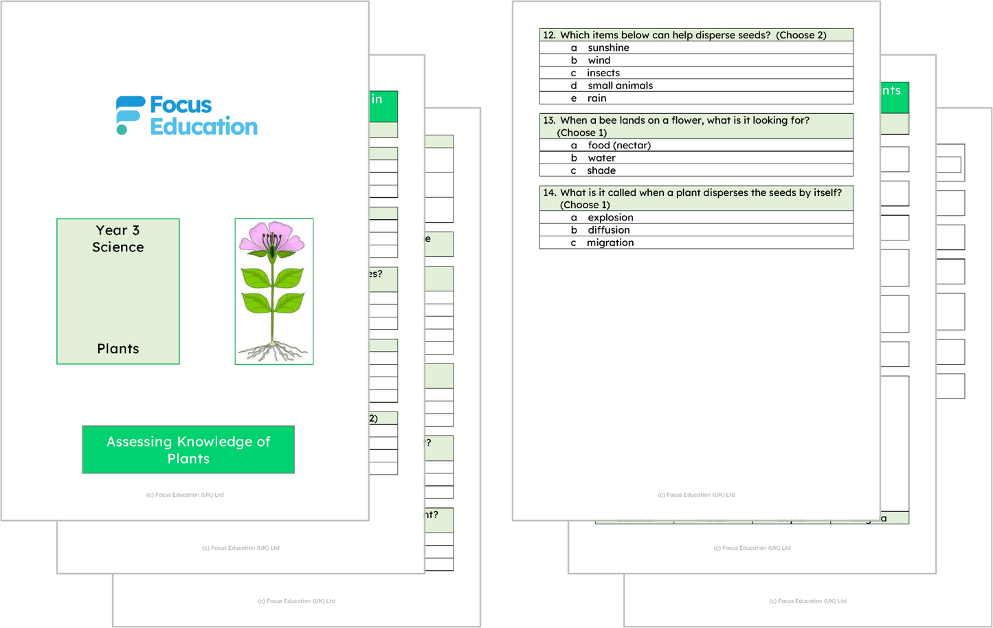 Science Y3: What part do different parts of plants play to help them grow healthily?