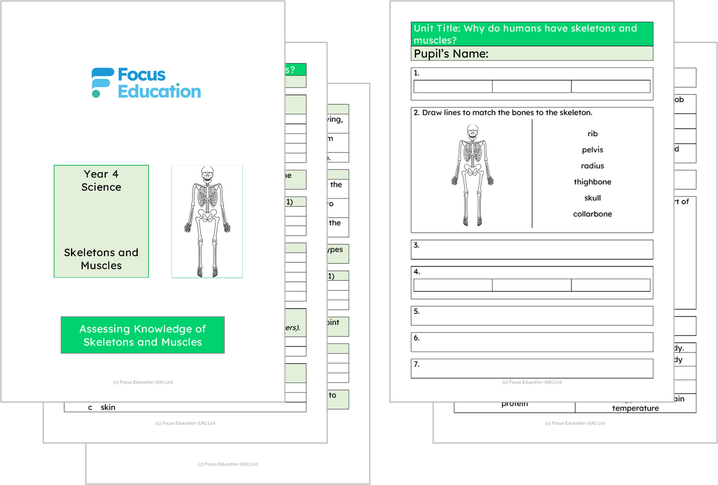 Science Y3: Why do humans have skeletons and muscles?