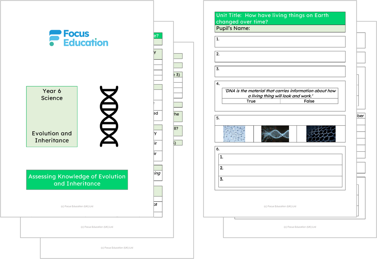 Science Y6: How have living things on Earth changed over time?