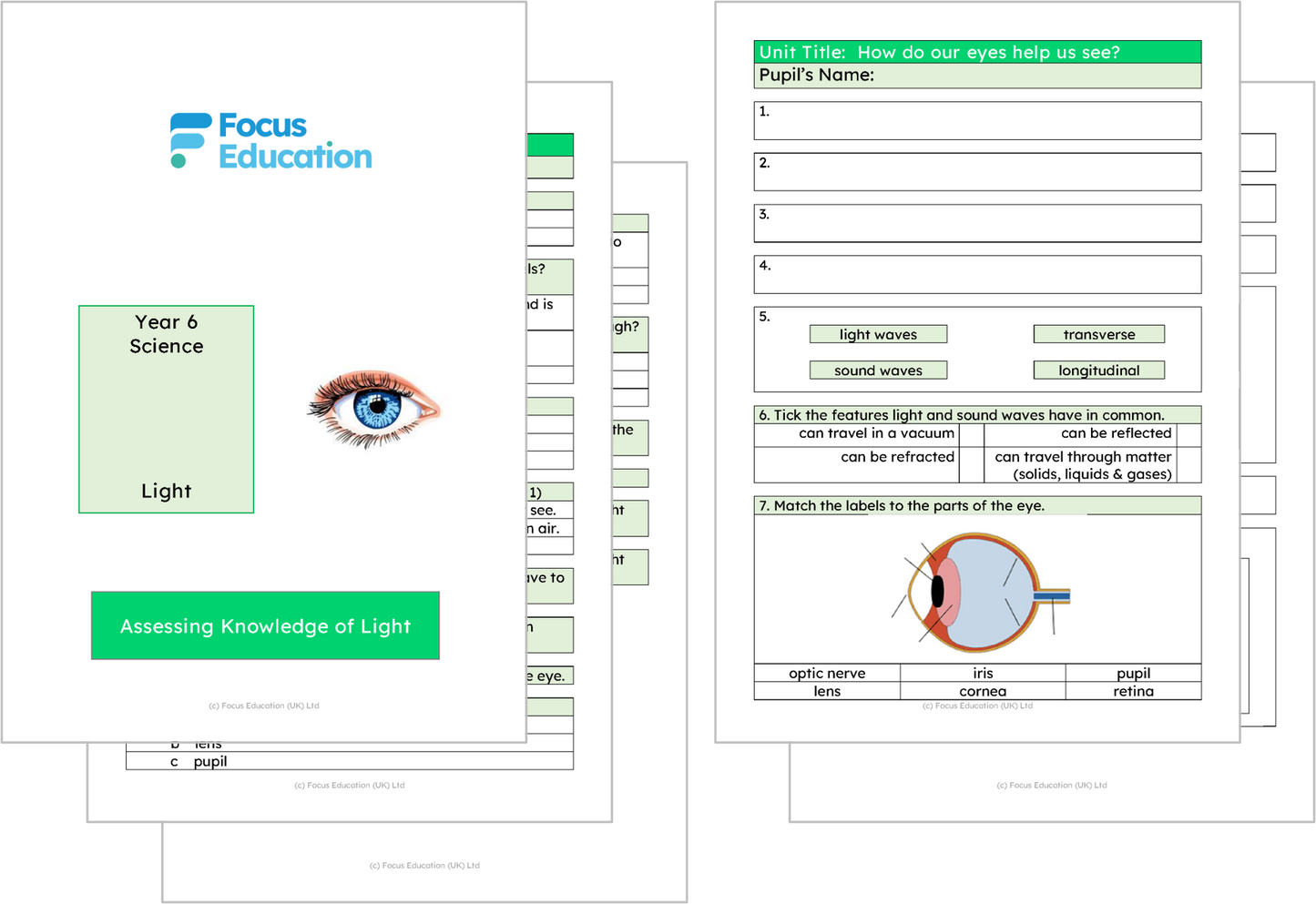 Science Y6: How do our eyes help us see?