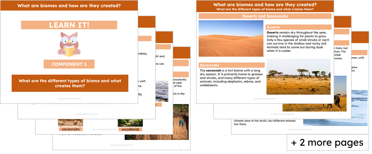 Geography Y4: What are biomes and how are they created?