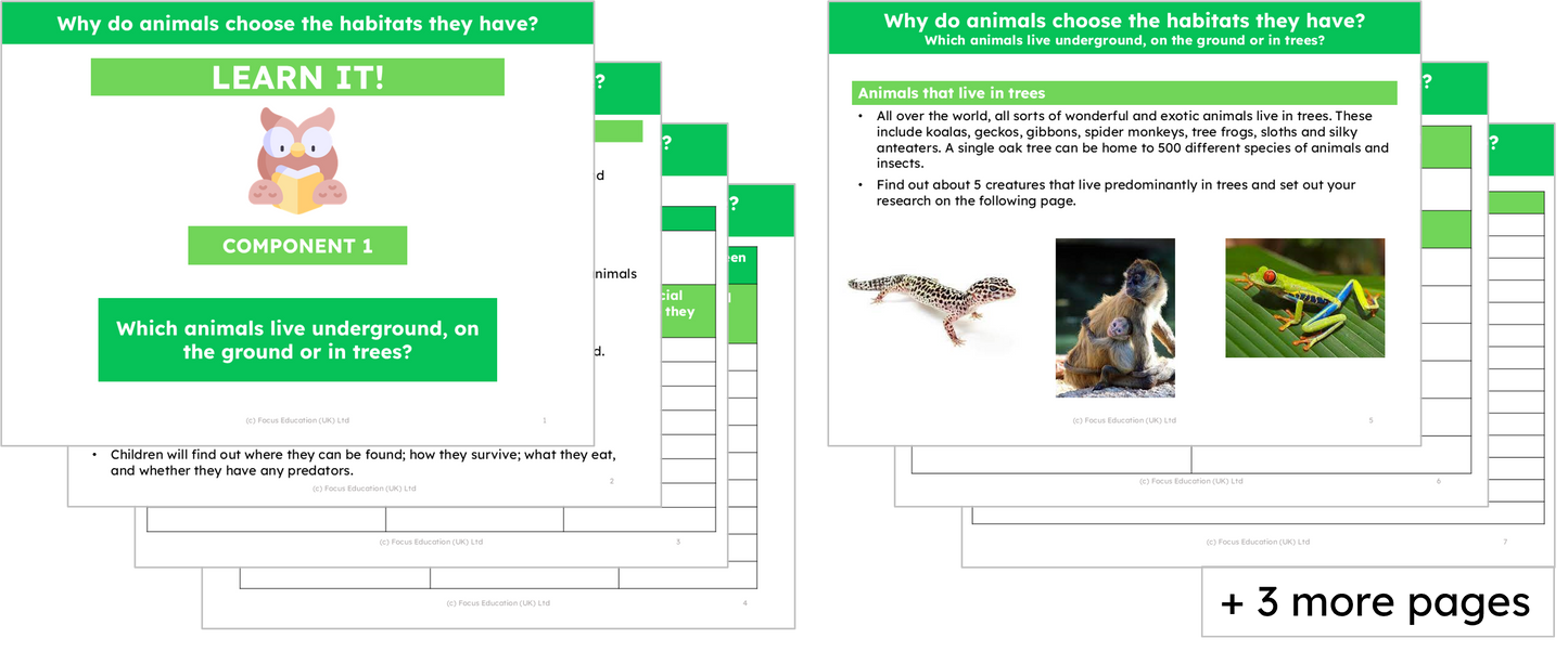 Science Y2: Why do animals choose the habitat they have?