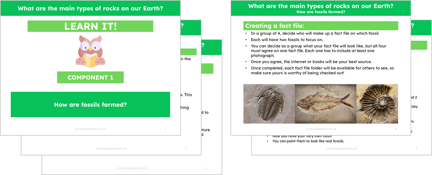 Science Y3: What are the main types of rock on our Earth?