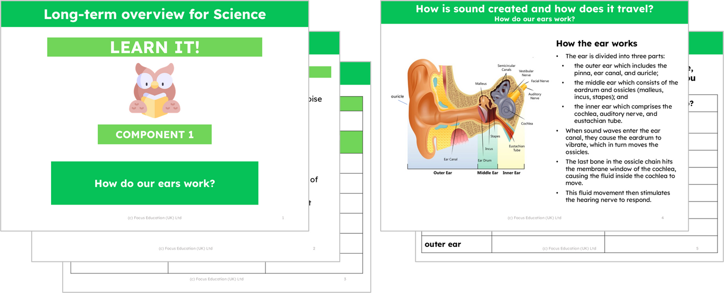 Science Y4: How is sound created and how does it travel?