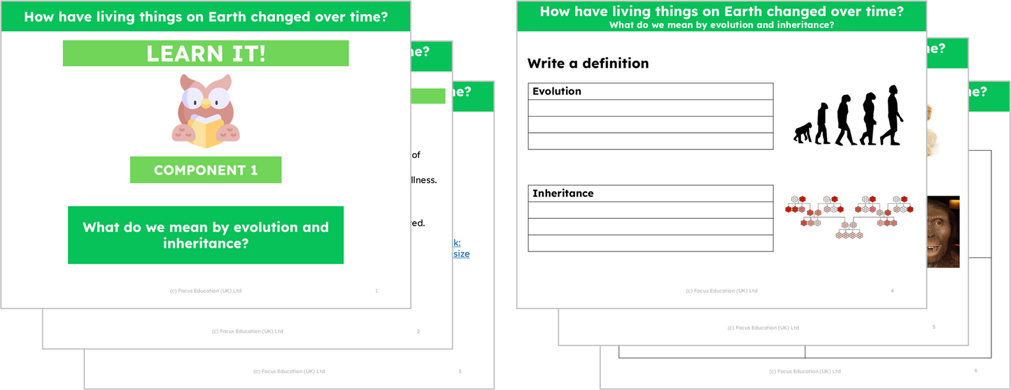 Science Y6: How have living things on Earth changed over time?