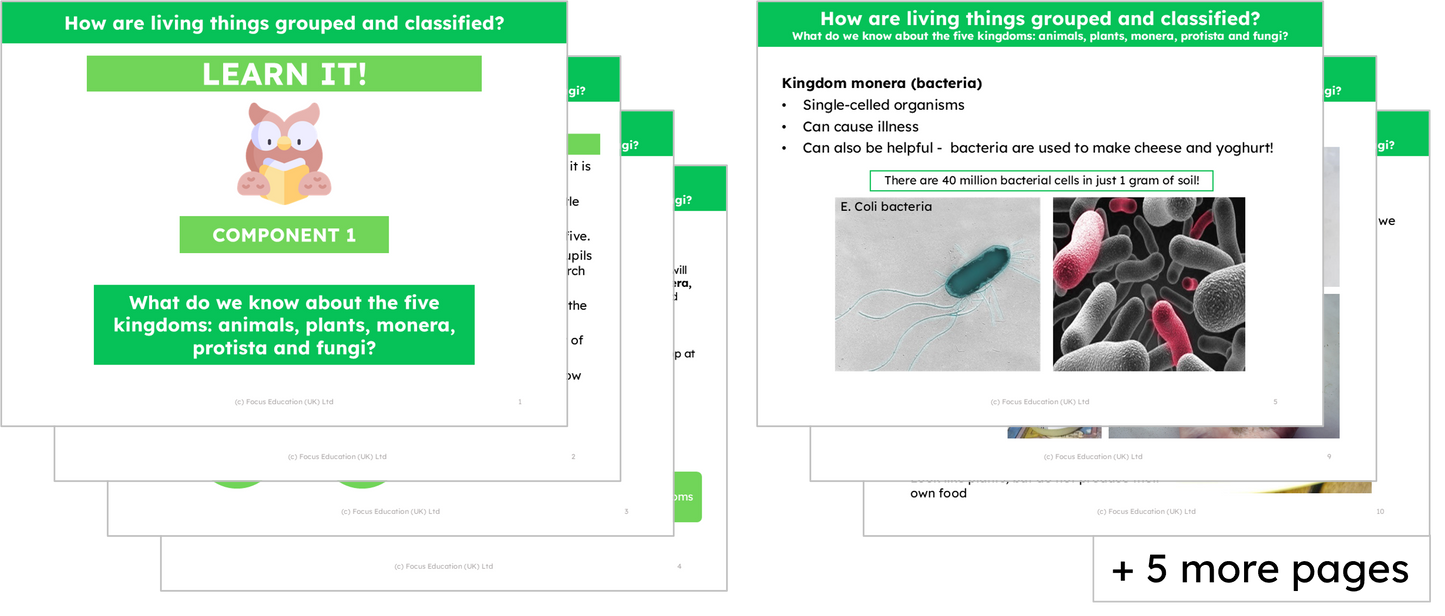 Science Y6: How are living things grouped and classified?