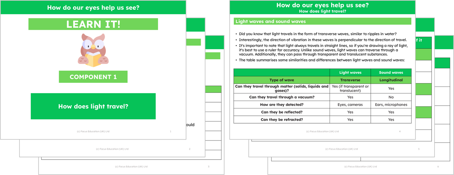 Science Y6: How do our eyes help us see?