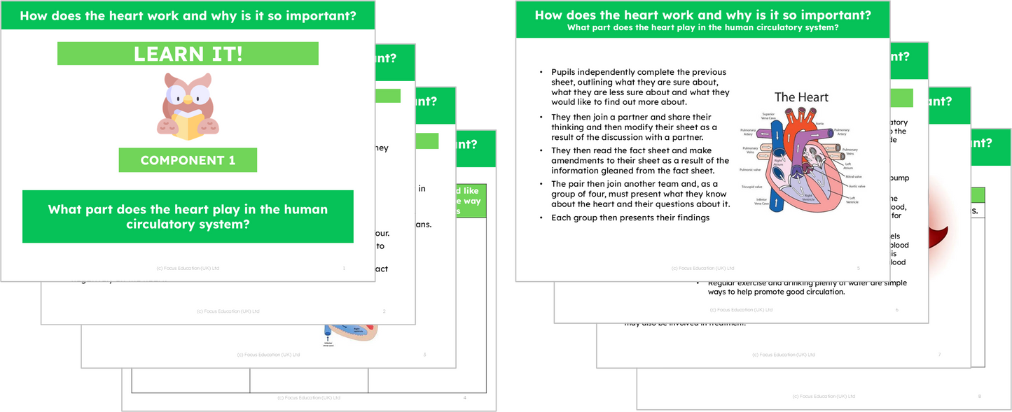 Science Y6: How does the heart work and why is it so important?