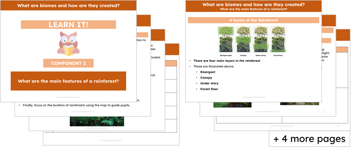 Geography Y4: What are biomes and how are they created?