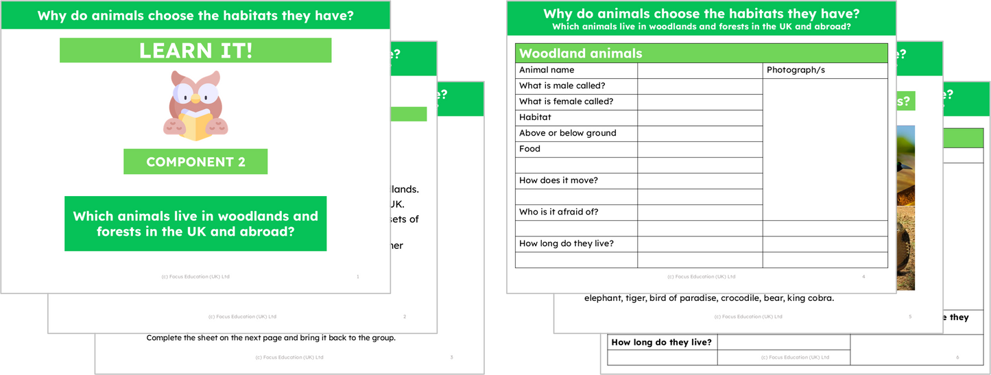 Science Y2: Why do animals choose the habitat they have?