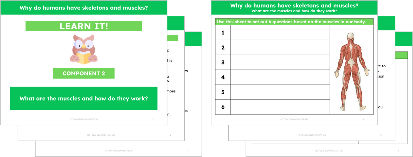 Science Y3: Why do humans have skeletons and muscles?