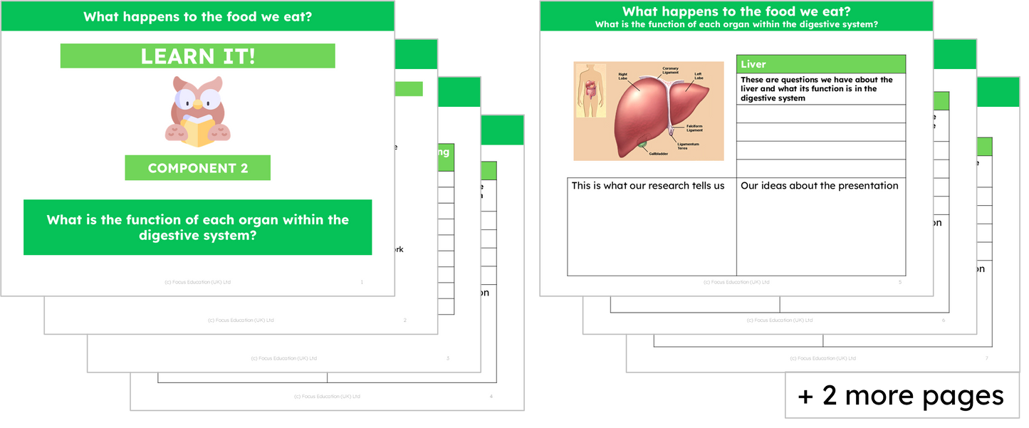 Science Y4: What happens to the food we eat?