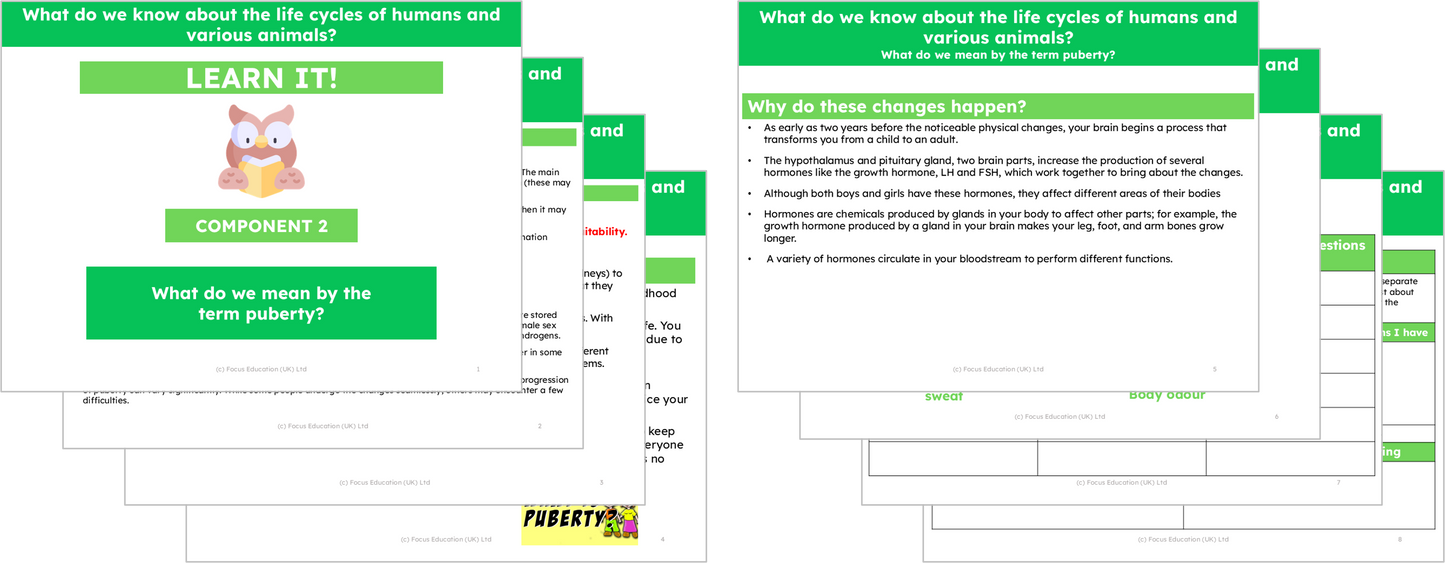 Science Y5: What do we know about the life cycles of humans and various animals?