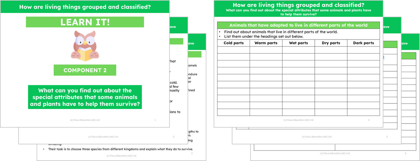 Science Y6: How are living things grouped and classified?