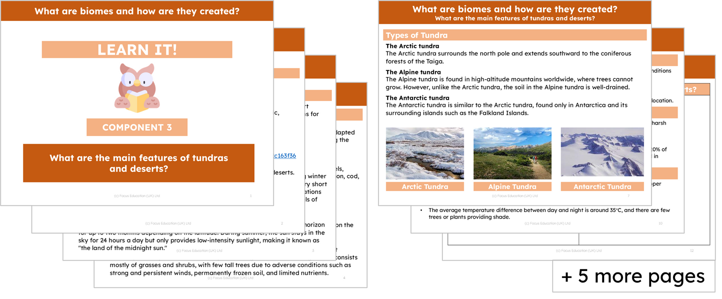 Geography Y4: What are biomes and how are they created?