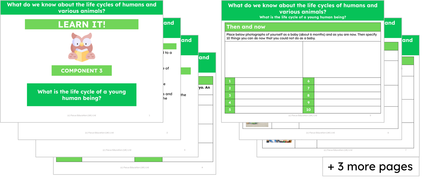 Science Y5: What do we know about the life cycles of humans and various animals?