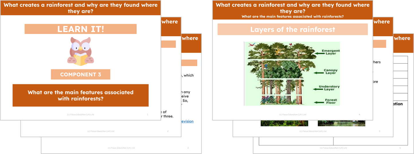 Geography Y5: What creates a rainforest and why are they located where they are?