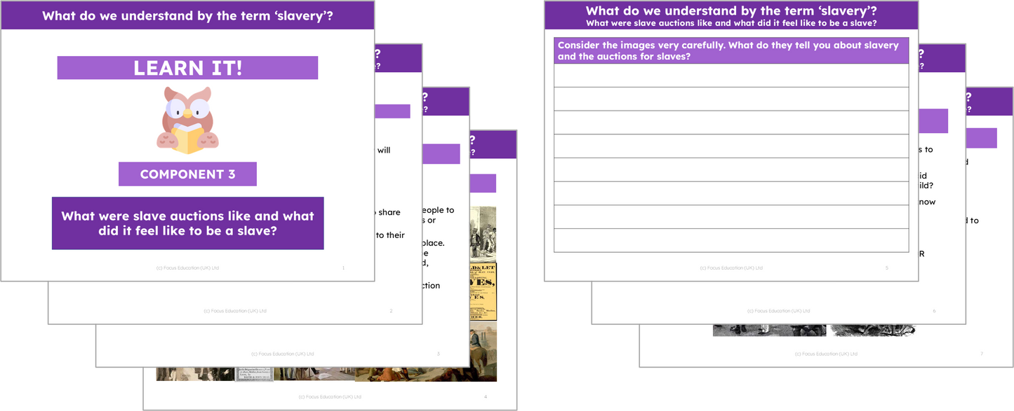 History Y5: What do we understand about the term 'slavery'?