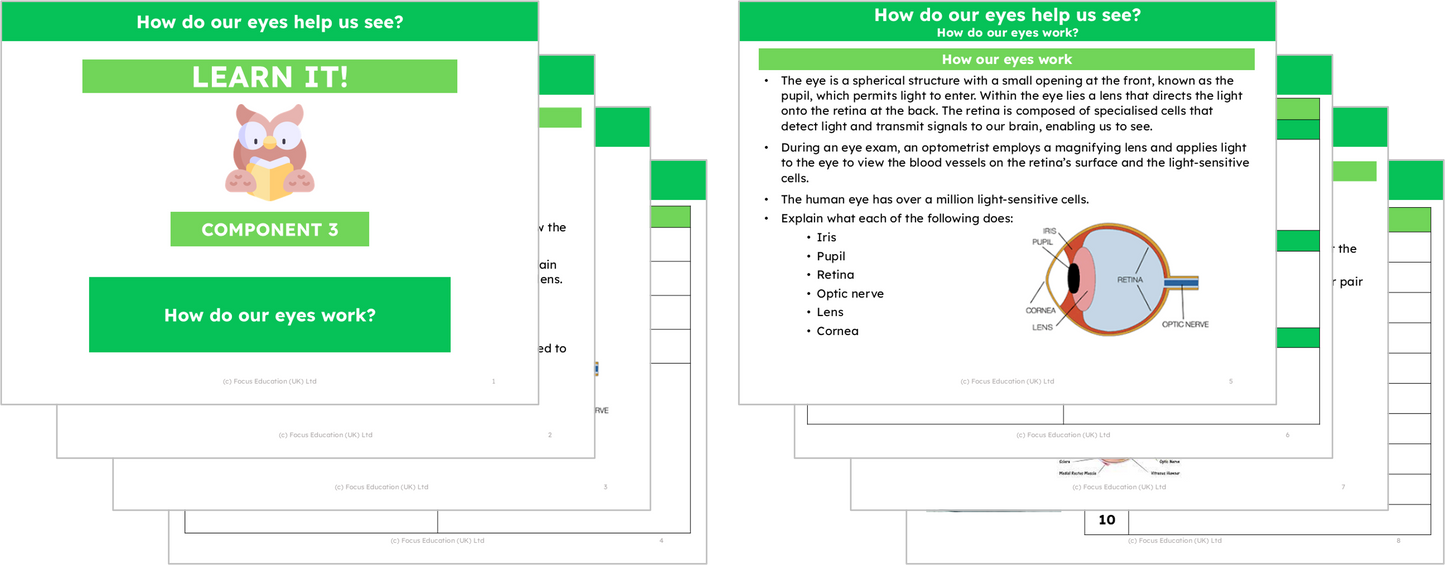 Science Y6: How do our eyes help us see?