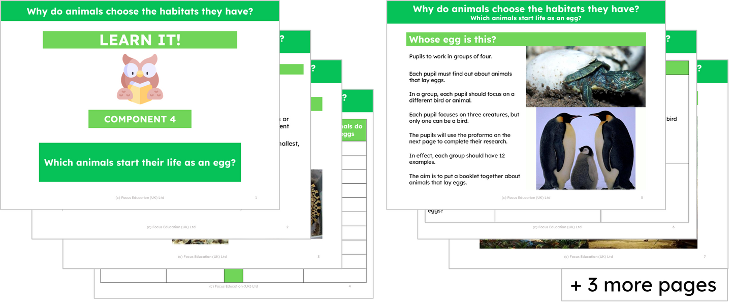 Science Y2: Why do animals choose the habitat they have?