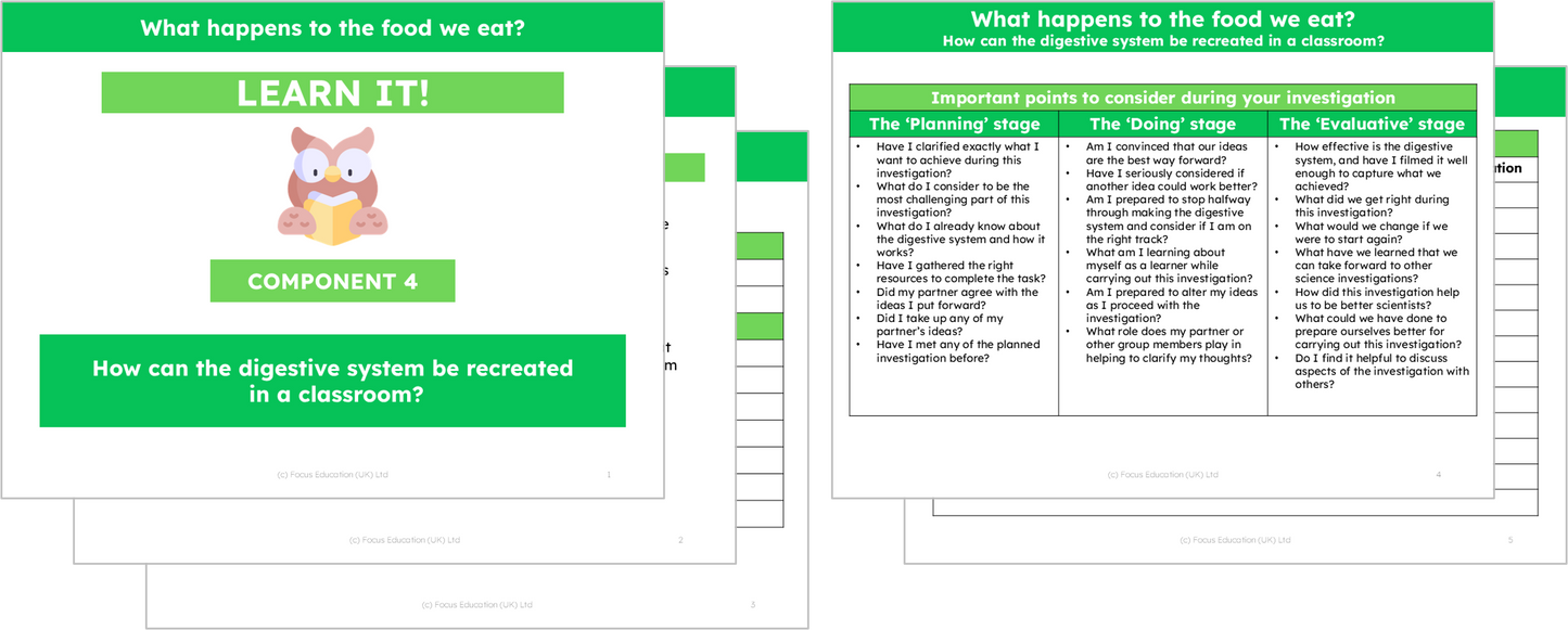 Science Y4: What happens to the food we eat?