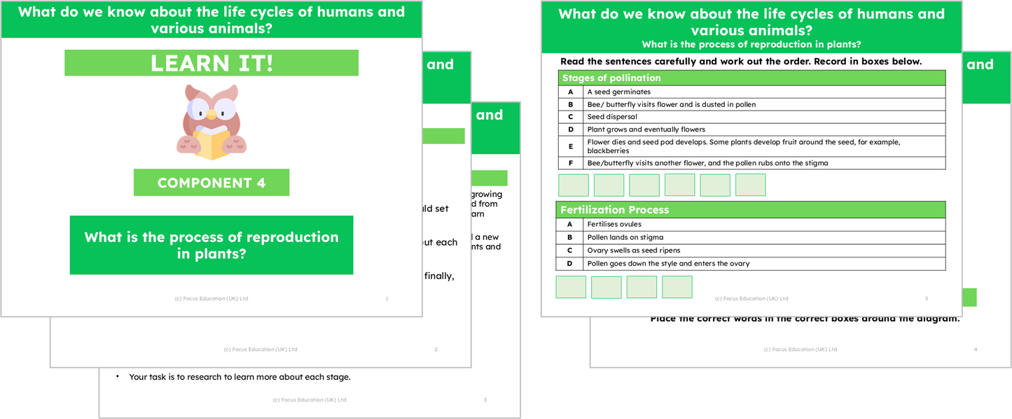 Science Y5: What do we know about the life cycles of humans and various animals?