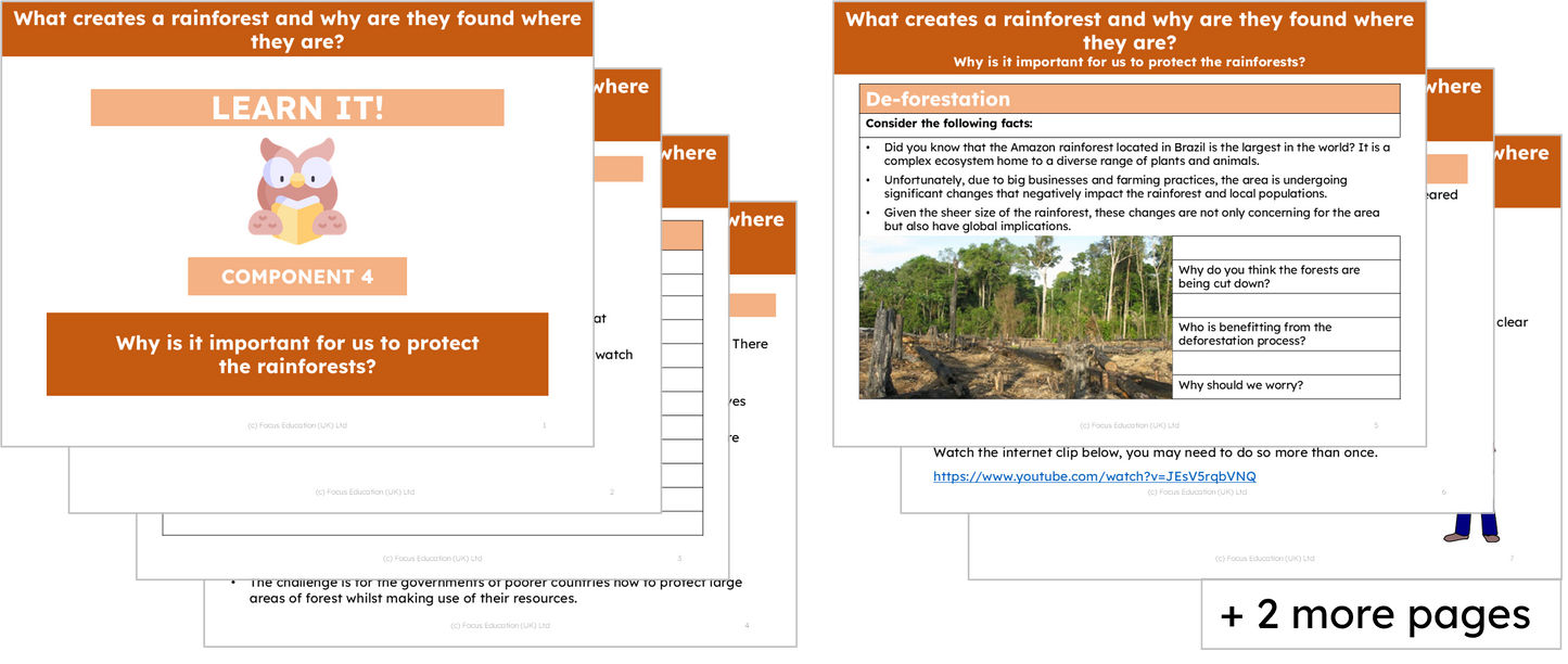 Geography Y5: What creates a rainforest and why are they located where they are?