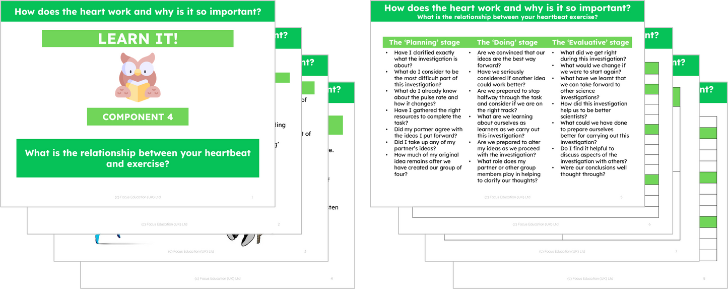 Science Y6: How does the heart work and why is it so important?