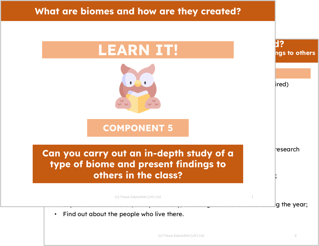 Geography Y4: What are biomes and how are they created?