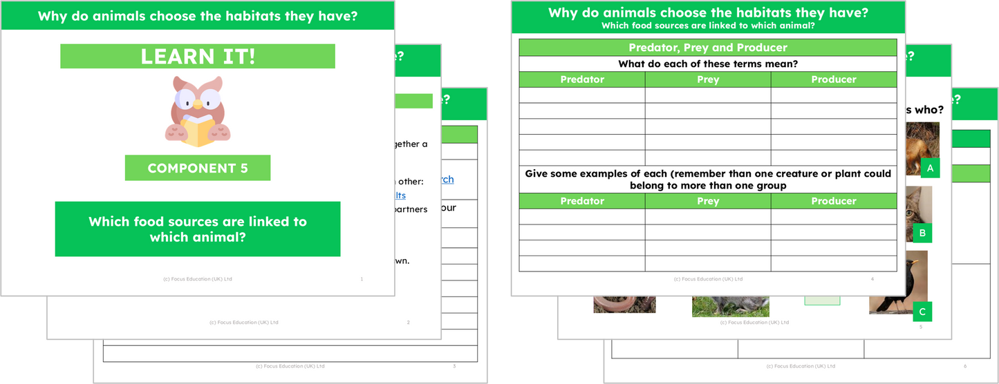 Science Y2: Why do animals choose the habitat they have?