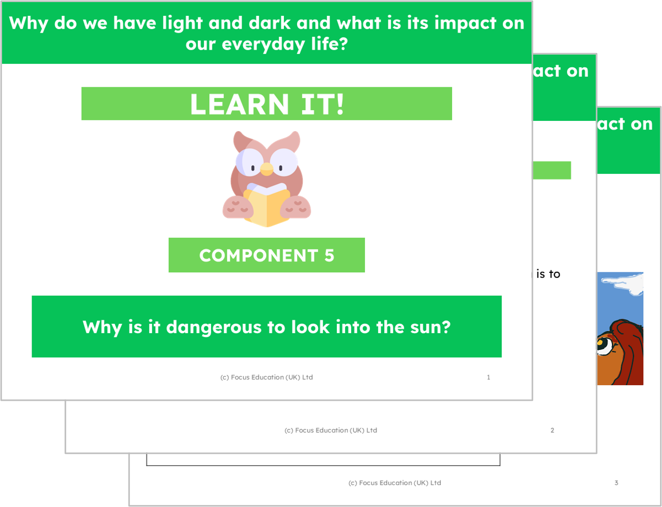 Science Y3: Why do we have light and dark and what is its impact on our everyday life?