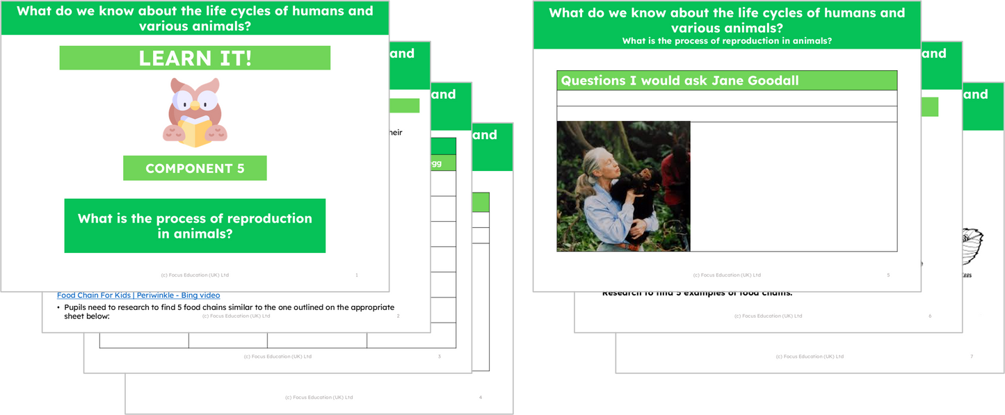 Science Y5: What do we know about the life cycles of humans and various animals?