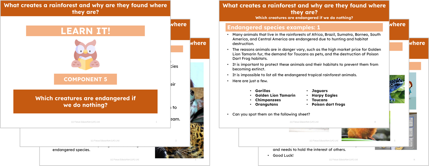 Geography Y5: What creates a rainforest and why are they located where they are?