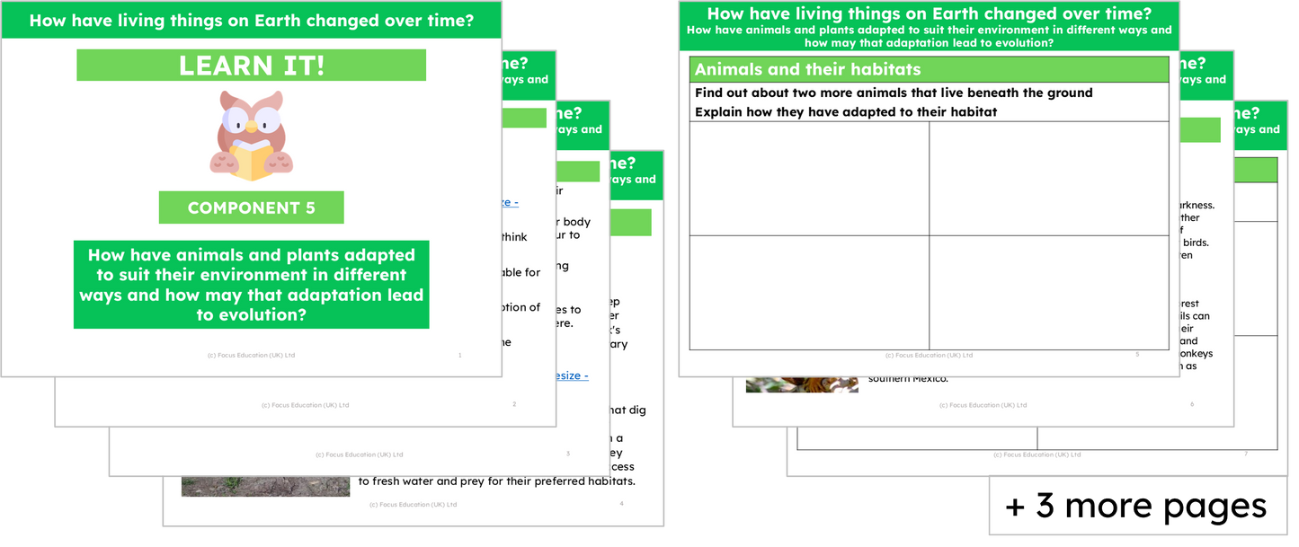 Science Y6: How have living things on Earth changed over time?