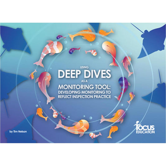 Using Deep Dives as a Monitoring Tool: Developing Monitoring to Reflect Inspection Practice