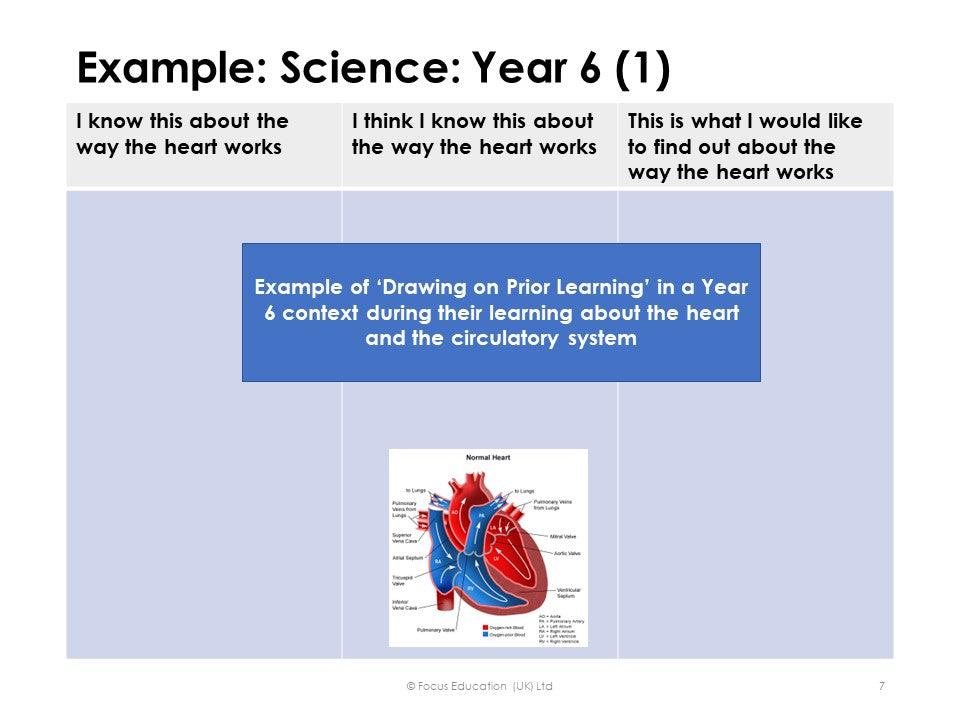 16 Teaching Ideas to Help Pupils Think and Reason More Effectively (Focus Mini)