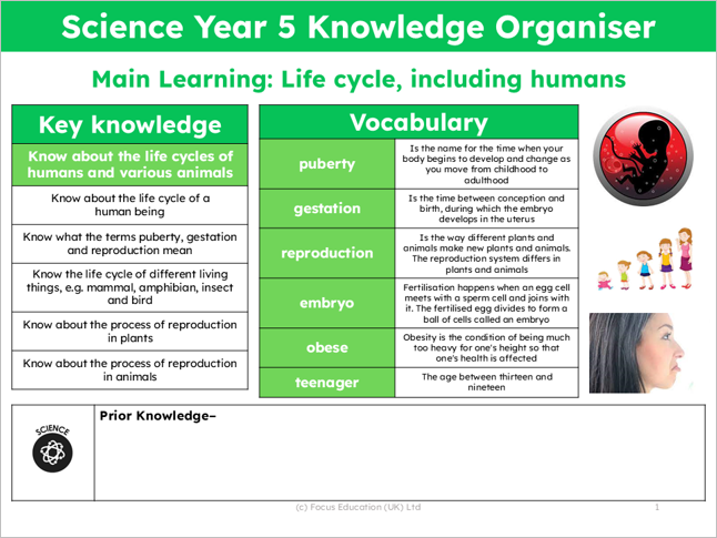 Science Y5: What do we know about the life cycles of humans and various animals?