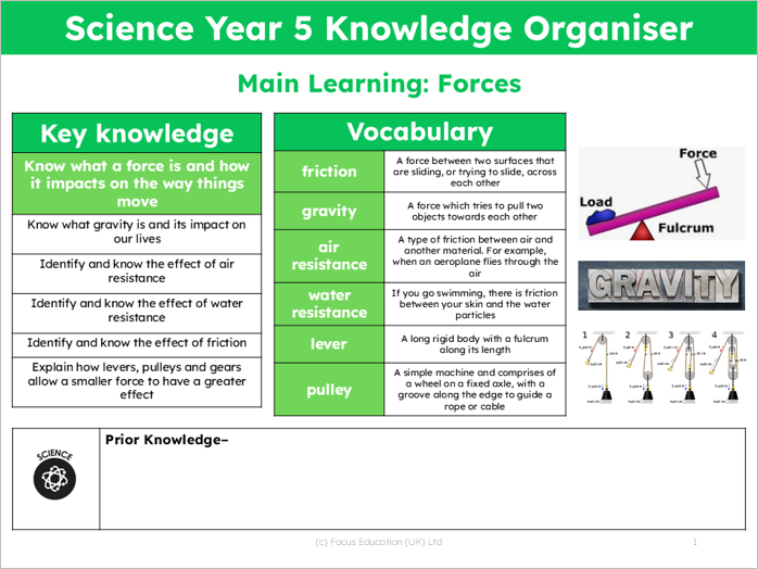 Science Y5: What is a force and how does it impact the way things move?