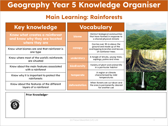 Geography Y5: What creates a rainforest and why are they located where they are?