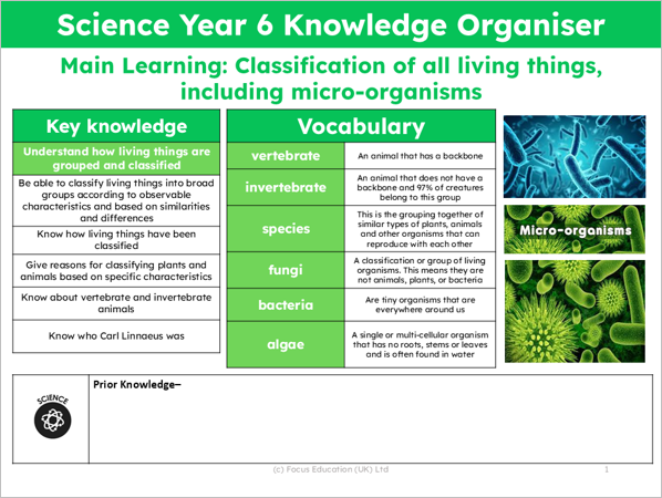 Science Y6: How are living things grouped and classified?