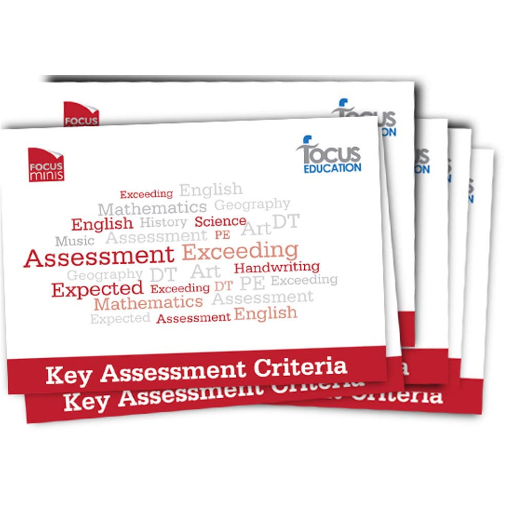 Key Assessment Criteria (Focus Mini)