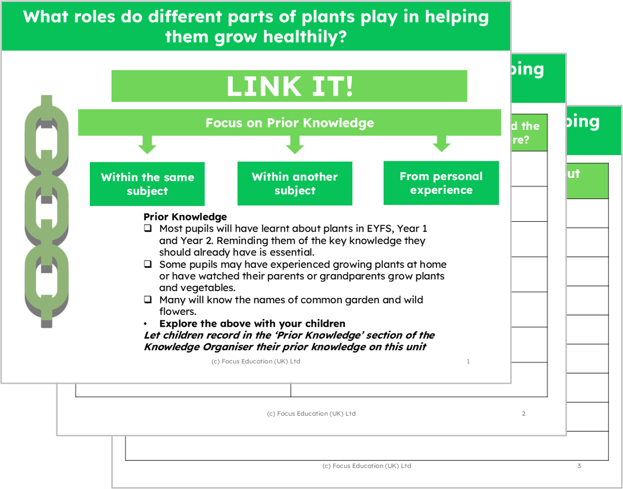 Science Y3: What part do different parts of plants play to help them grow healthily?