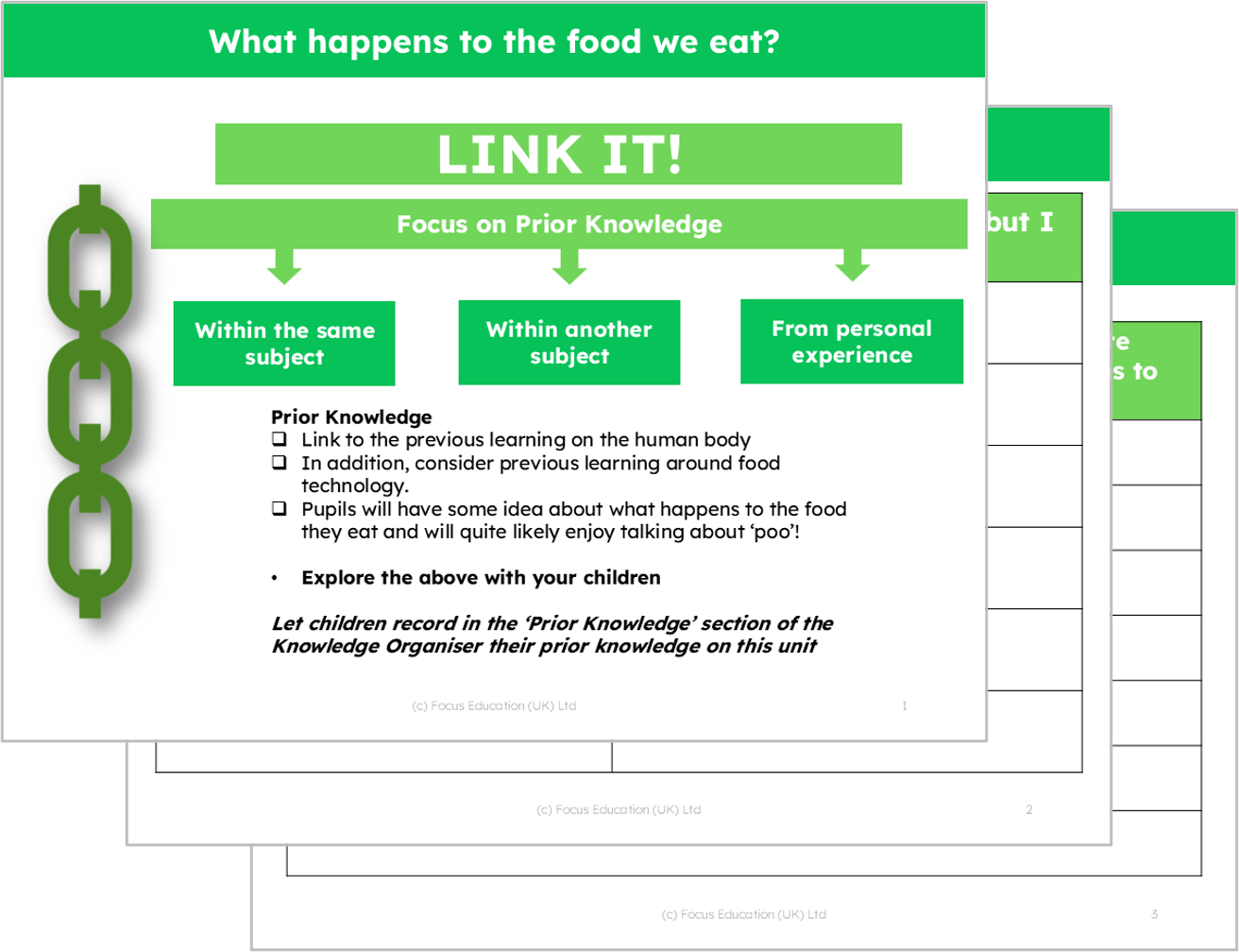 Science Y4: What happens to the food we eat?