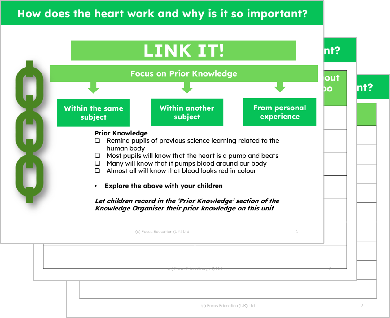 Science Y6: How does the heart work and why is it so important?