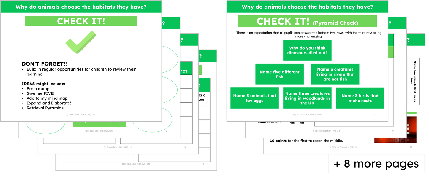 Science Y2: Why do animals choose the habitat they have?