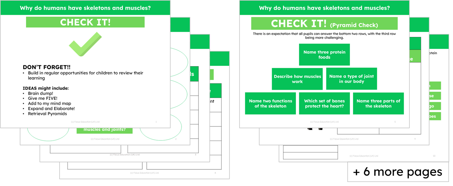 Science Y3: Why do humans have skeletons and muscles?